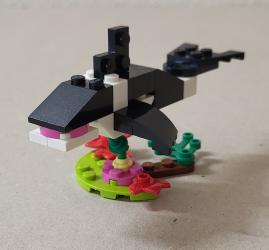 Orca von links