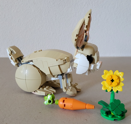 Osterhase mit Karotte und Blume Ansicht von Rechts
