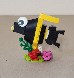 Fisch von der Seite
