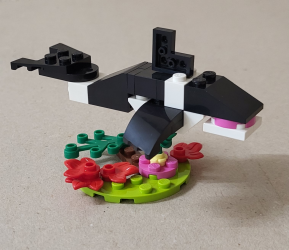 Orca von rechts